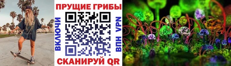 Купить где  Рыбное  Псилоцибиновые грибы мицелий 